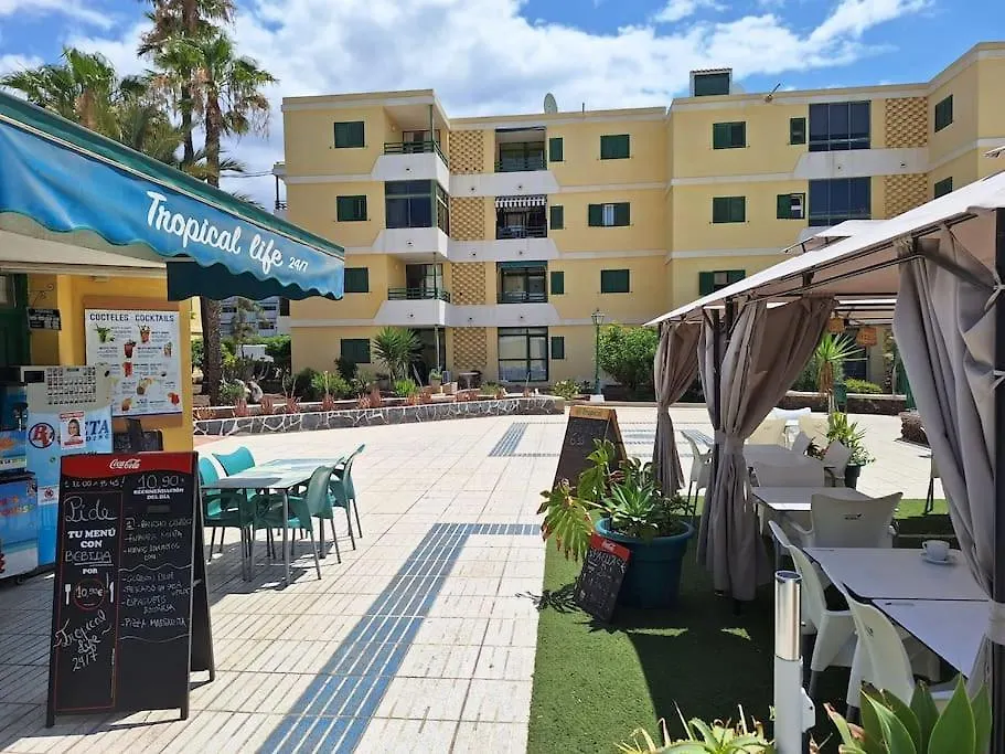 Las Olas Palmeras Apartment Maspalomas  Spain